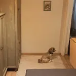 Cichy Zakatek * Kolobřeh