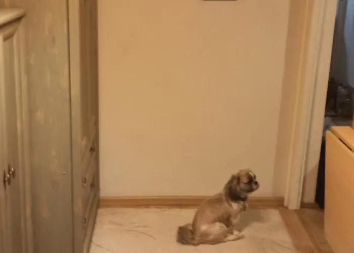 Cichy Zakatek * Kolobrzeg